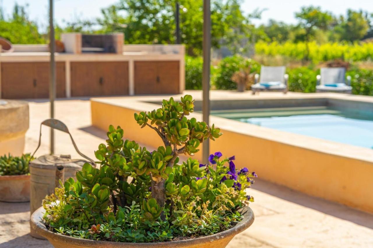 Finca Campestre Es Verger Blue بينيسالم المظهر الخارجي الصورة